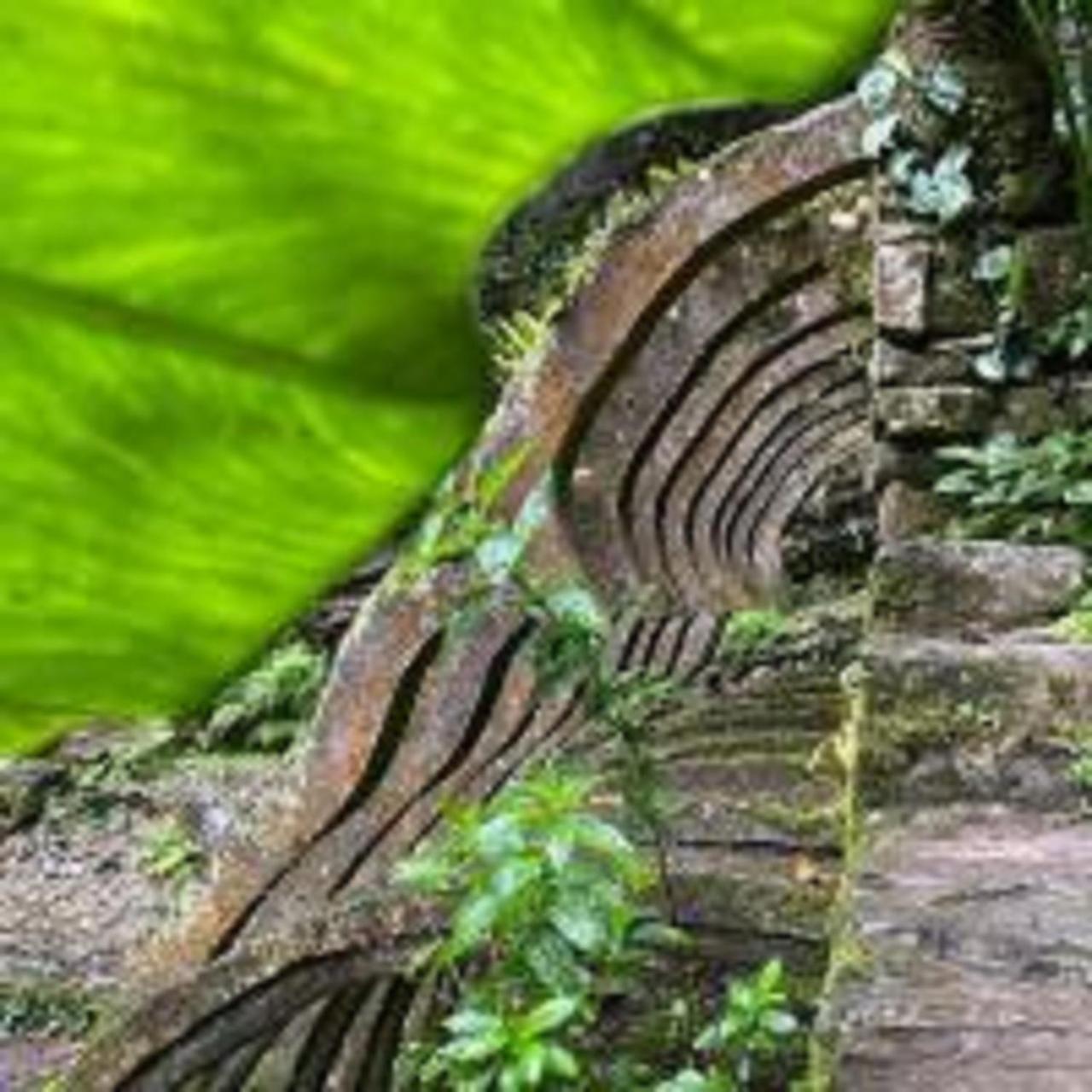 Grann Posada Xilitla Dış mekan fotoğraf