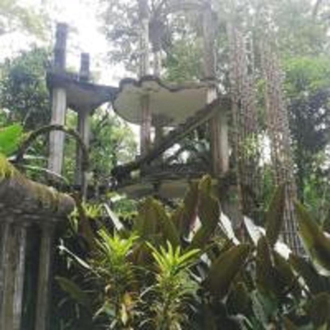 Grann Posada Xilitla Dış mekan fotoğraf